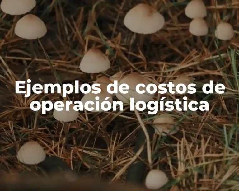 Ejemplos de costos de operación logística