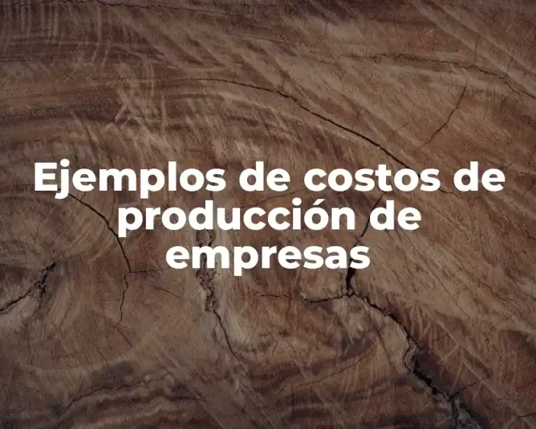 Ejemplos de costos de producción de empresas