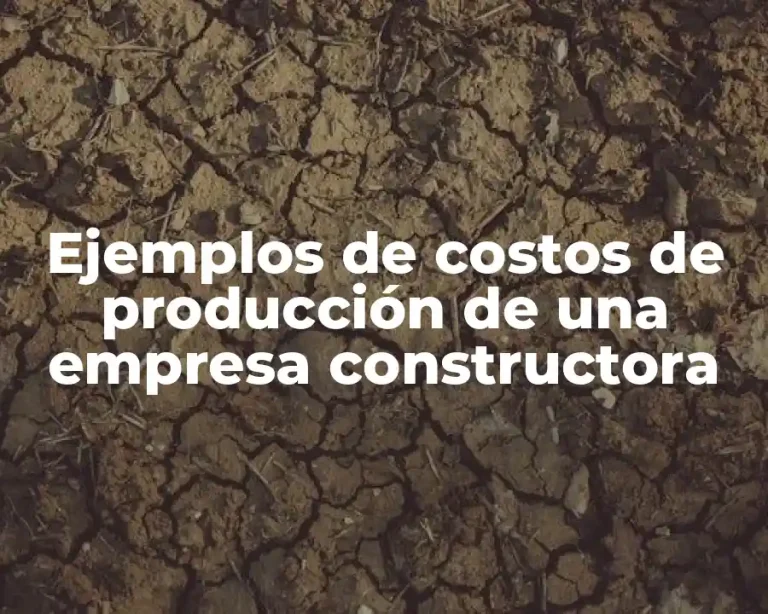 Ejemplos de costos de producción de una empresa constructora
