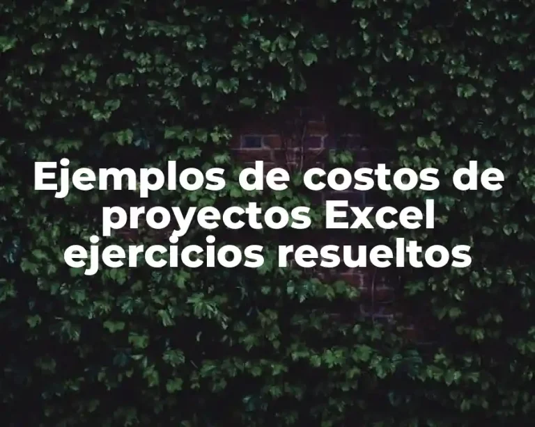 Ejemplos de costos de proyectos Excel ejercicios resueltos
