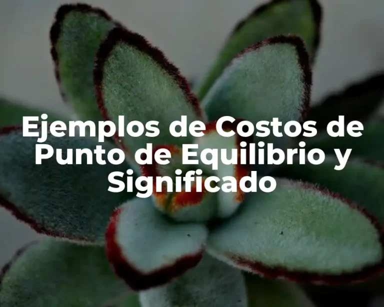 Ejemplos de Costos de Punto de Equilibrio y Significado