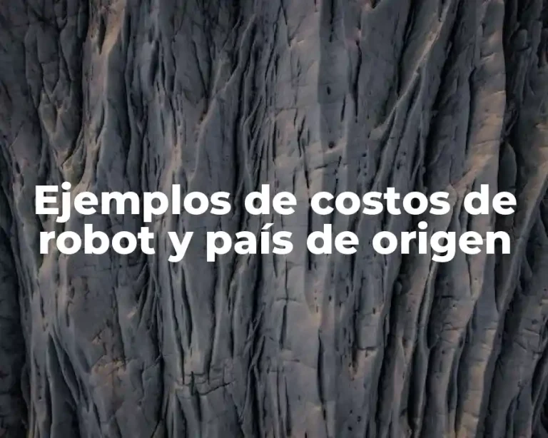 Ejemplos de costos de robot y país de origen