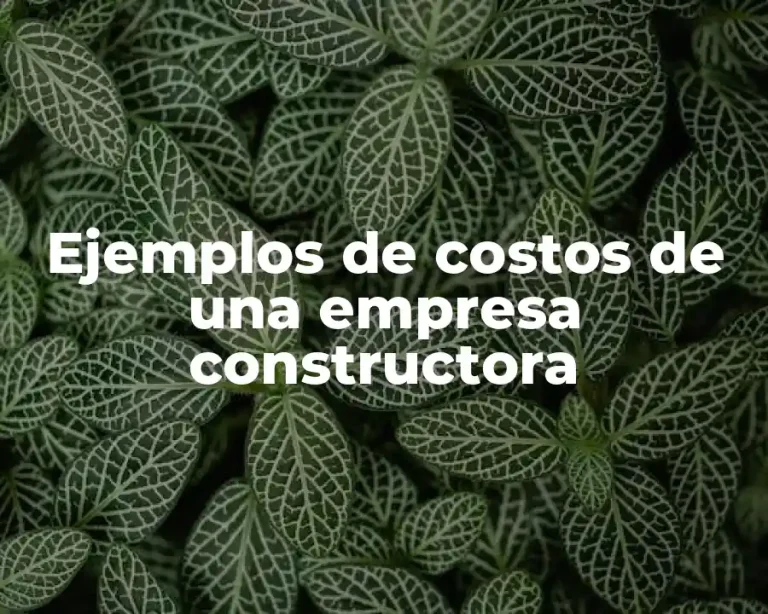 Ejemplos de costos de una empresa constructora