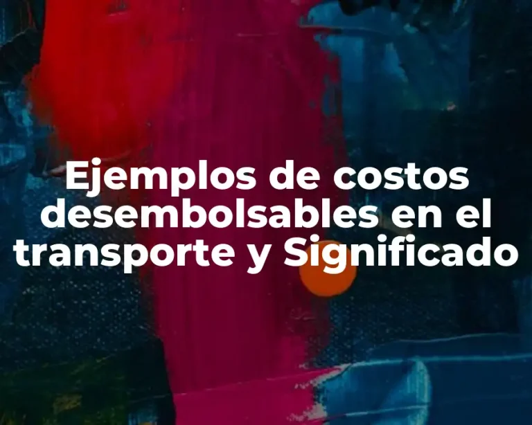 Ejemplos de costos desembolsables en el transporte y Significado