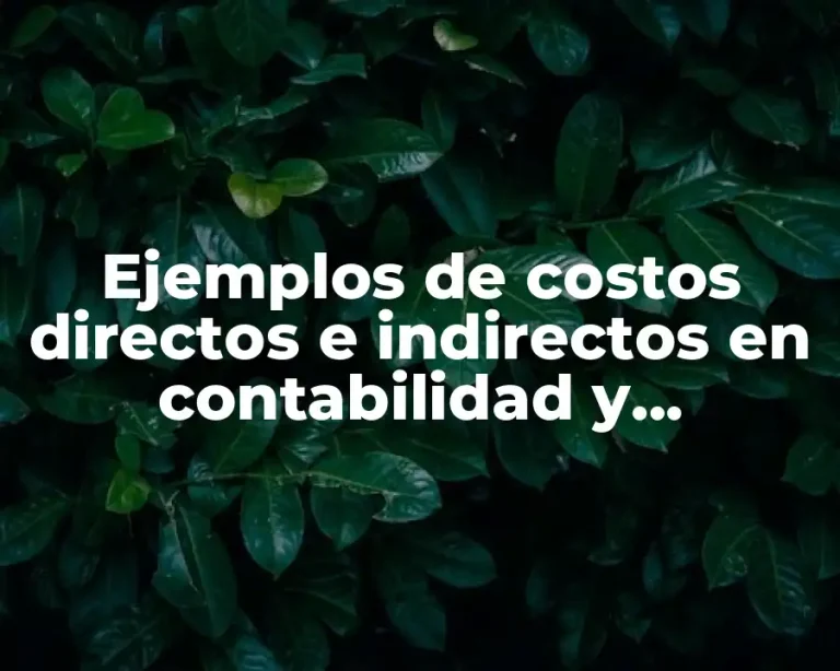 Ejemplos de costos directos e indirectos en contabilidad y Significado