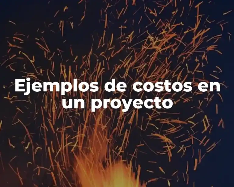 Ejemplos de costos en un proyecto