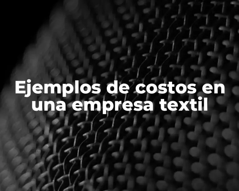 Ejemplos de costos en una empresa textil