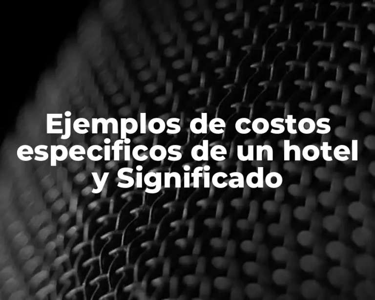 Ejemplos de costos especificos de un hotel y Significado