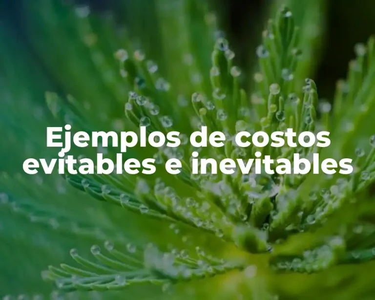 Ejemplos de costos evitables e inevitables
