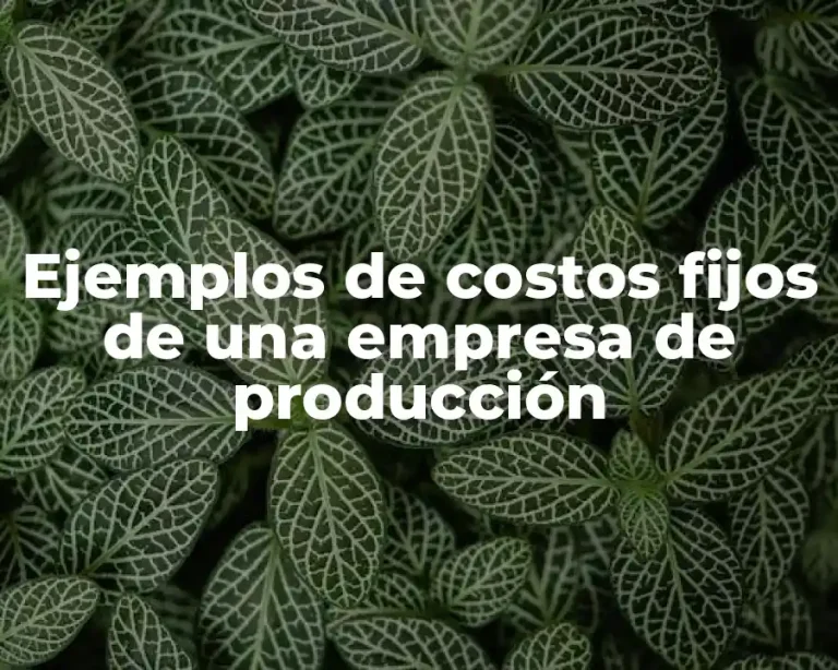 Ejemplos de costos fijos de una empresa de producción