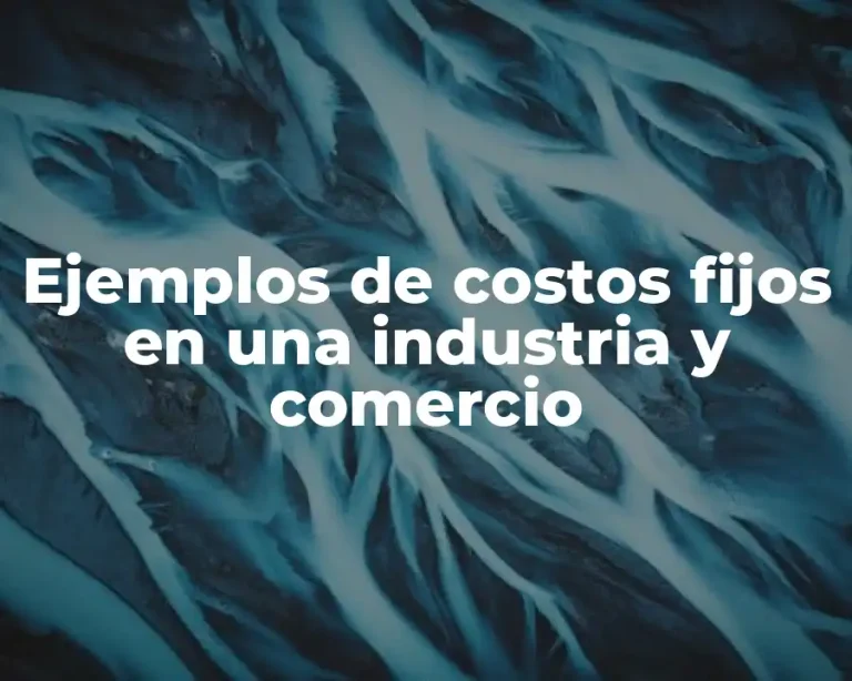 Ejemplos de costos fijos en una industria y comercio