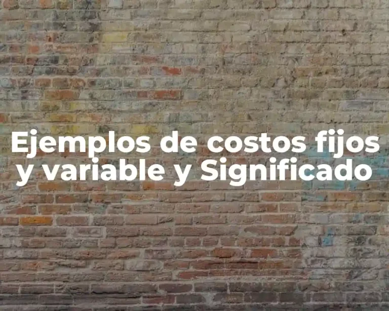 Ejemplos de costos fijos y variable y Significado