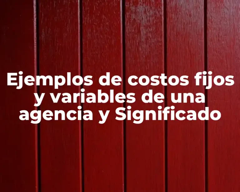 Ejemplos de costos fijos y variables de una agencia y Significado