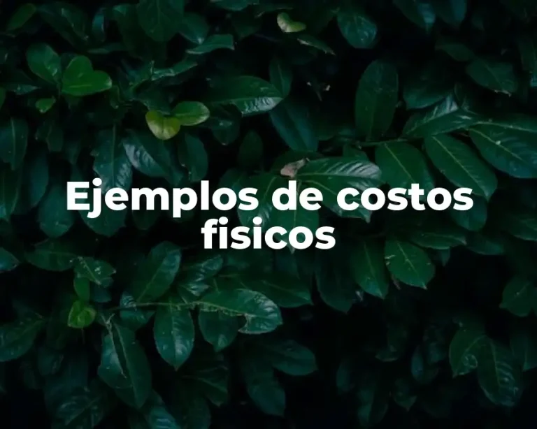 Ejemplos de costos fisicos
