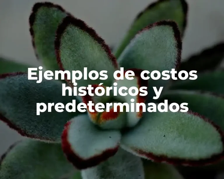 Ejemplos de costos históricos y predeterminados