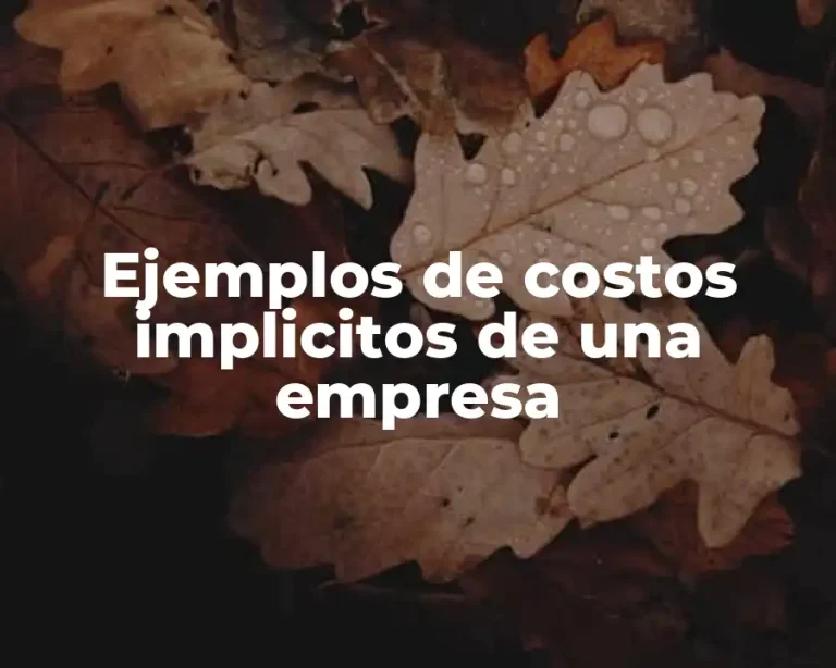 Ejemplos de costos implicitos de una empresa