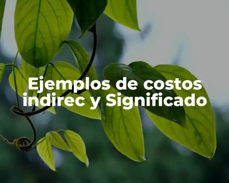 Ejemplos de costos indirec y Significado