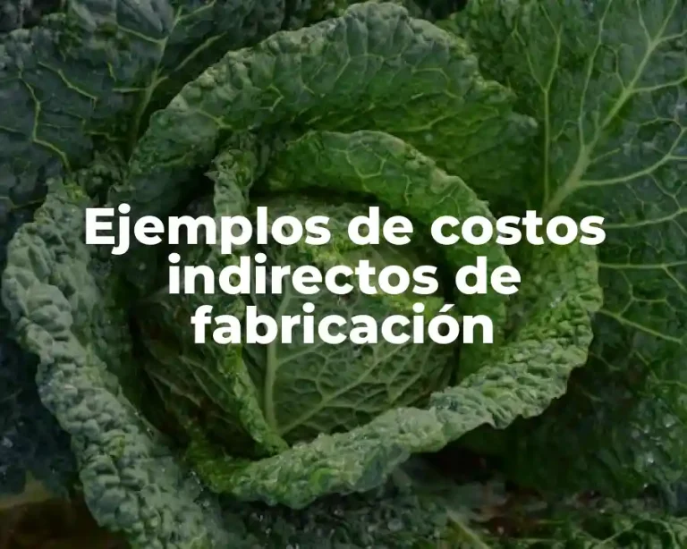 Ejemplos de costos indirectos de fabricación