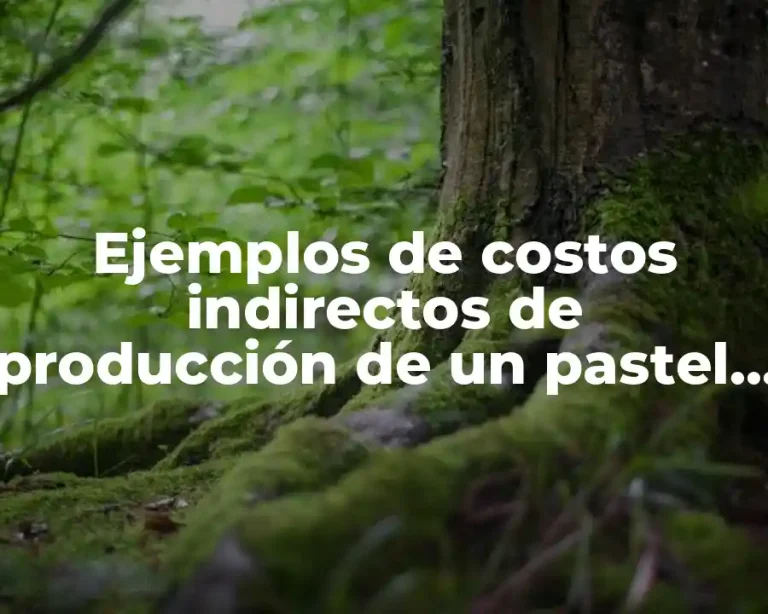 Ejemplos de costos indirectos de producción de un pastel y Significado