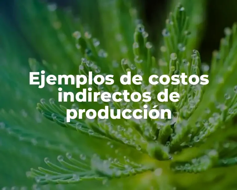 Ejemplos de costos indirectos de producción