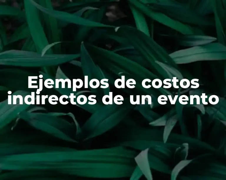 Ejemplos de costos indirectos de un evento