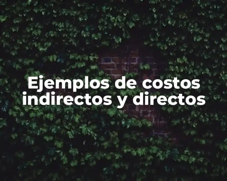 Ejemplos de costos indirectos y directos
