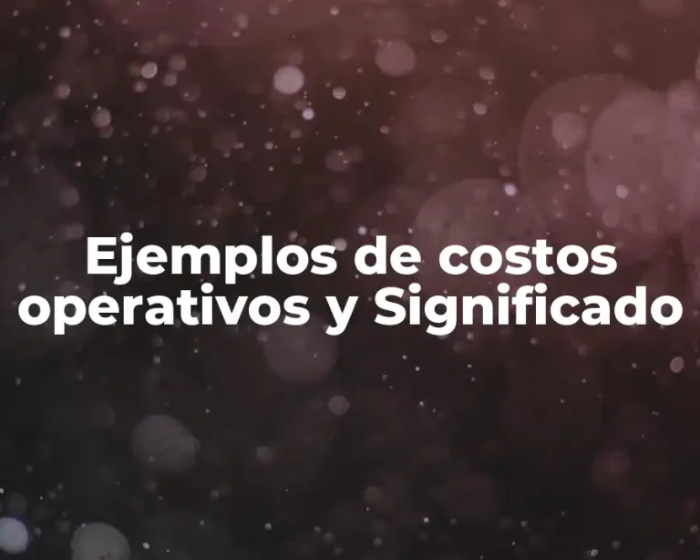 Ejemplos de costos operativos y Significado