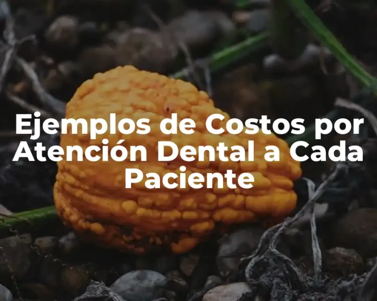 Ejemplos de Costos por Atención Dental a Cada Paciente