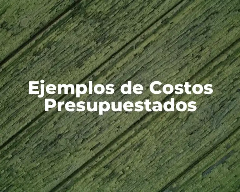 Ejemplos de Costos Presupuestados