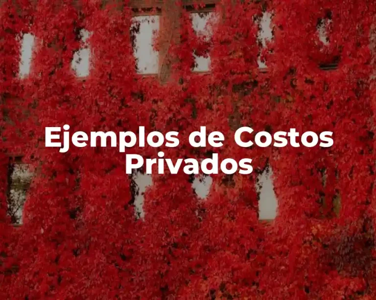 Ejemplos de Costos Privados