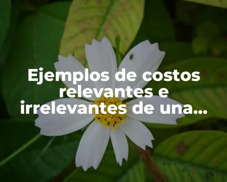 Ejemplos de costos relevantes e irrelevantes de una empresa industrial