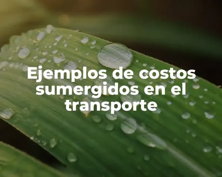 Ejemplos de costos sumergidos en el transporte