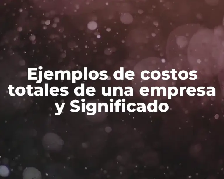Ejemplos de costos totales de una empresa y Significado