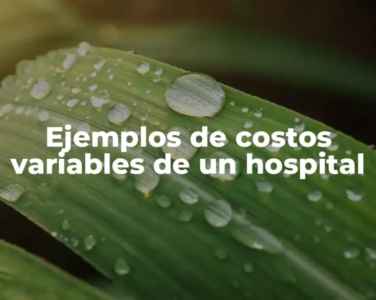 Ejemplos de costos variables de un hospital