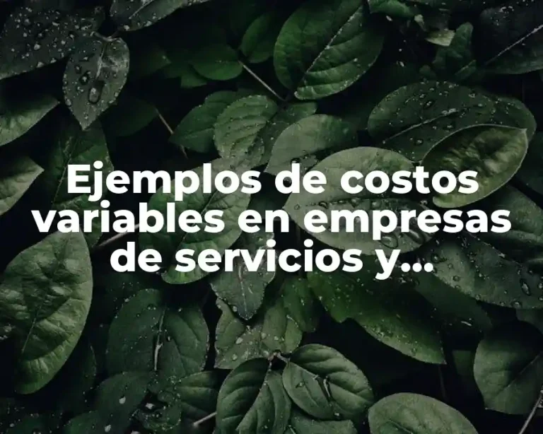 Ejemplos de costos variables en empresas de servicios y Significado