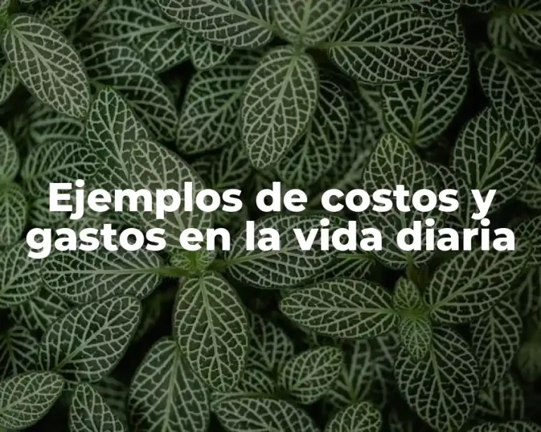 Ejemplos de costos y gastos en la vida diaria