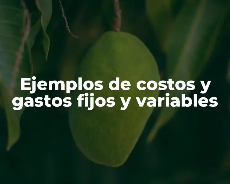 Ejemplos de costos y gastos fijos y variables