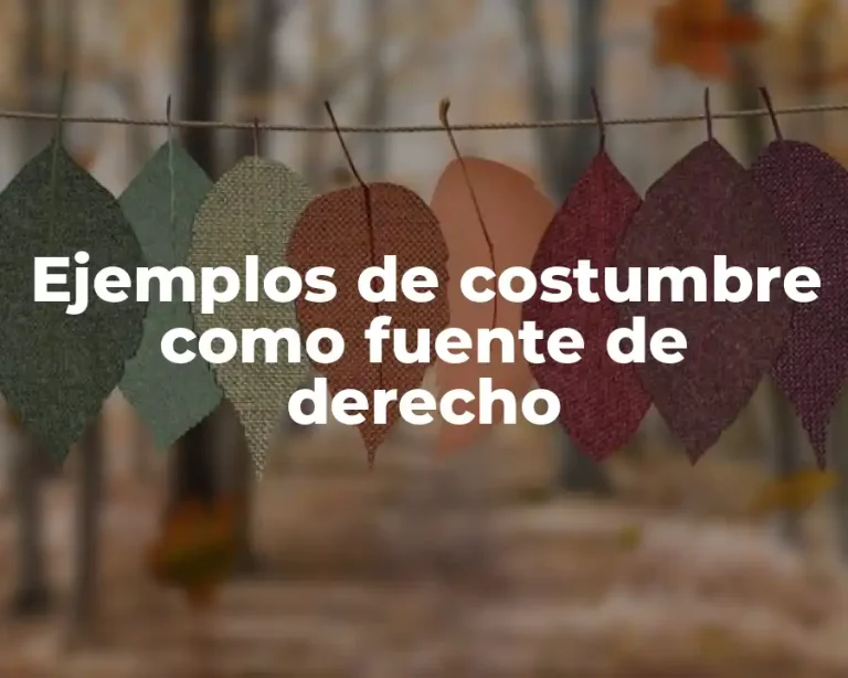 Ejemplos de costumbre como fuente de derecho