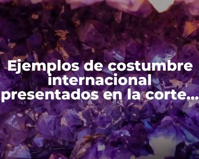 Ejemplos de costumbre internacional presentados en la corte internacional