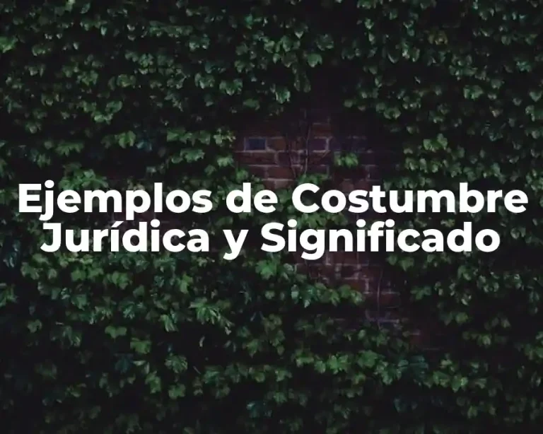 Ejemplos de Costumbre Jurídica y Significado