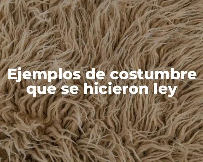 Ejemplos de costumbre que se hicieron ley