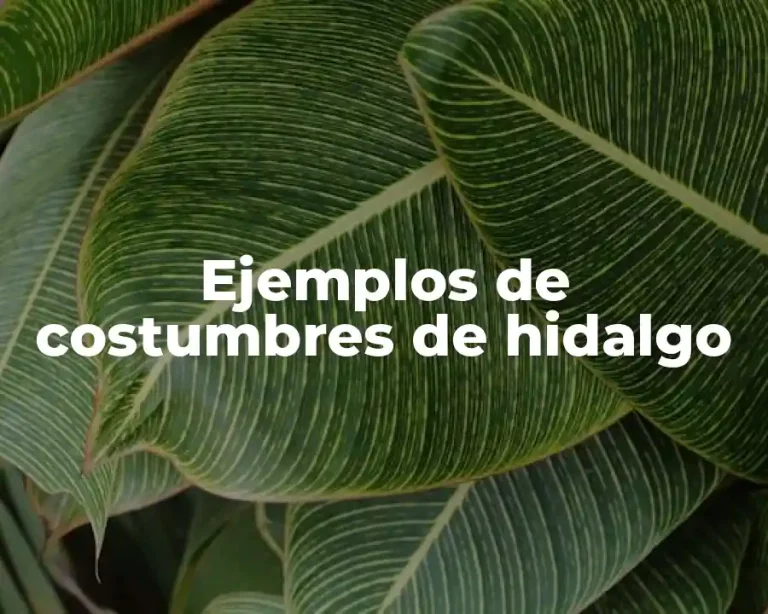 Ejemplos de costumbres de hidalgo