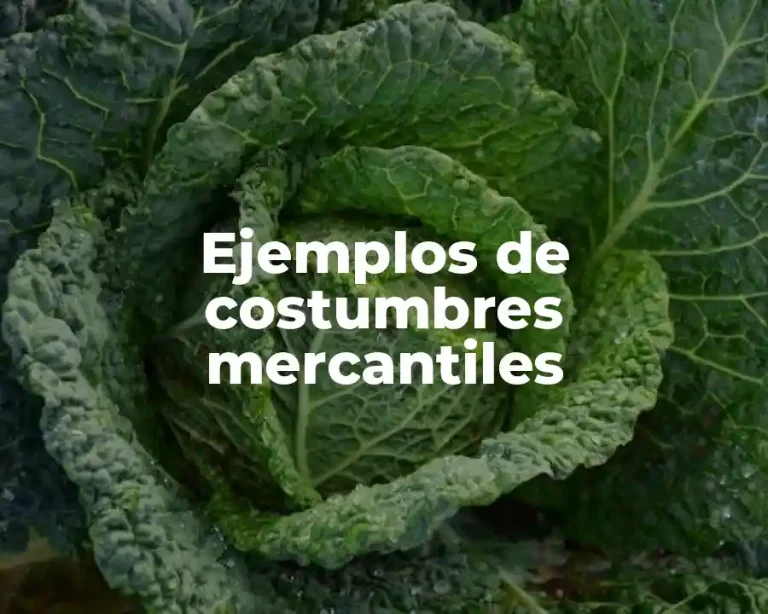 Ejemplos de costumbres mercantiles
