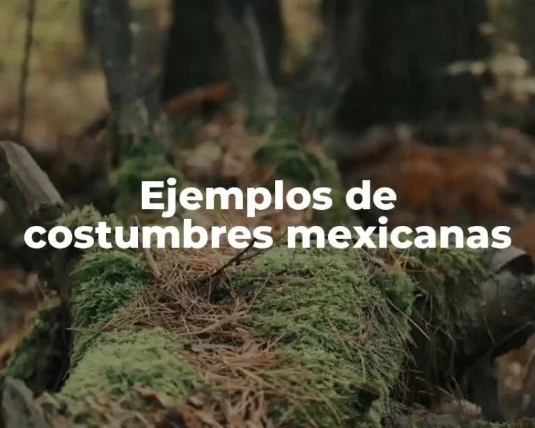 Ejemplos de costumbres mexicanas
