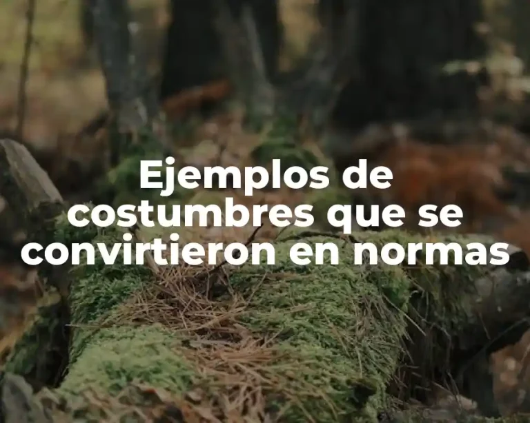 Ejemplos de costumbres que se convirtieron en normas