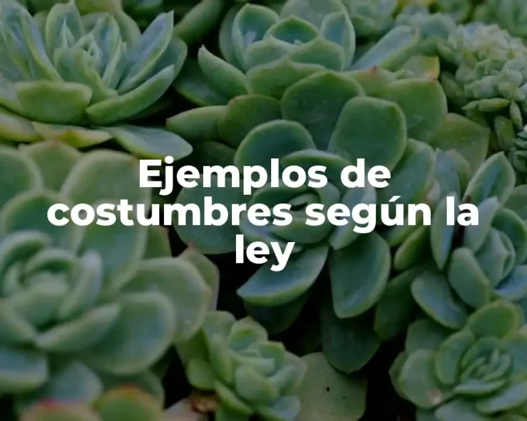 Ejemplos de costumbres según la ley