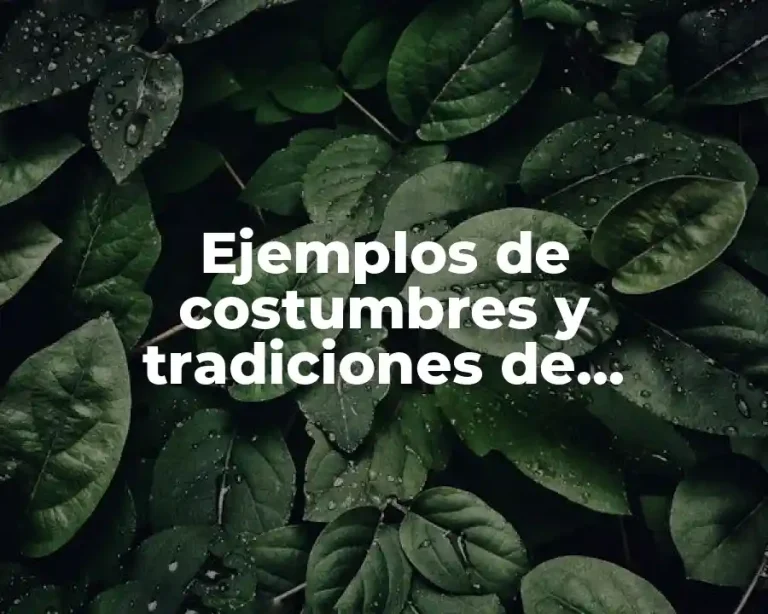 Ejemplos de costumbres y tradiciones de Ocosingo, Chiapas