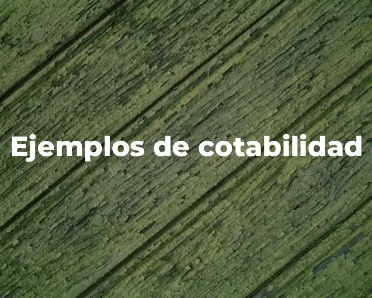 Ejemplos de cotabilidad