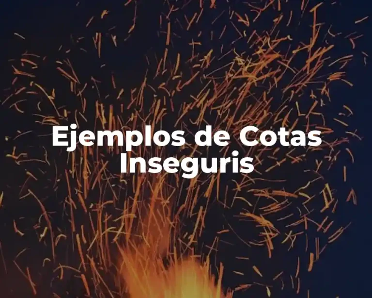 Ejemplos de Cotas Inseguris