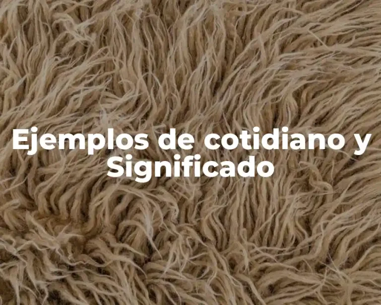 Ejemplos de cotidiano y Significado